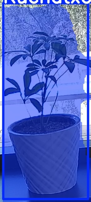 TREE-000011_20260623_132013.jpg
