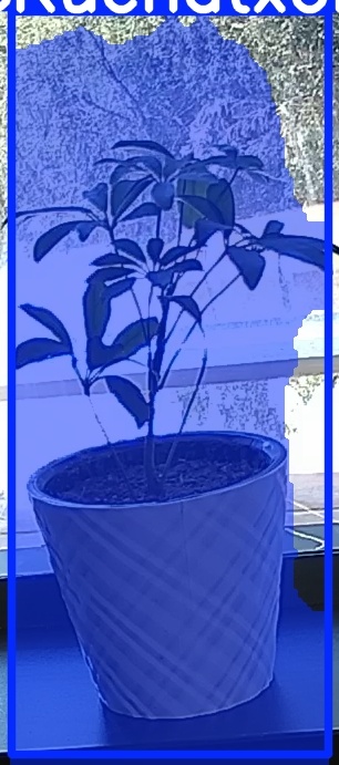 TREE-000011_20260623_132122.jpg