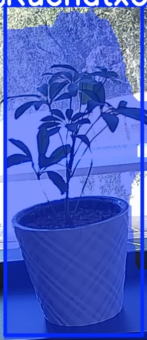 TREE-000011_20260623_132233.jpg