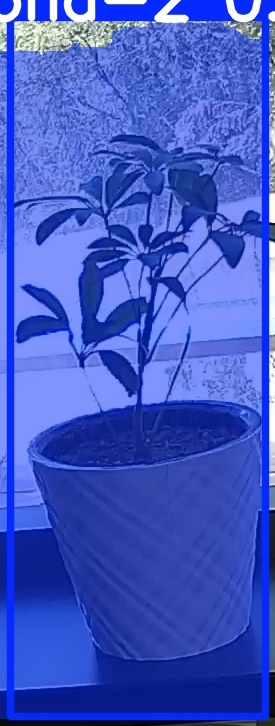 TREE-000011_20260623_132343.jpg