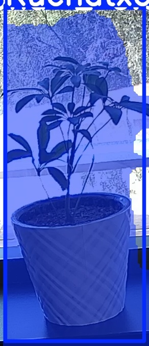TREE-000011_20260623_132454.jpg