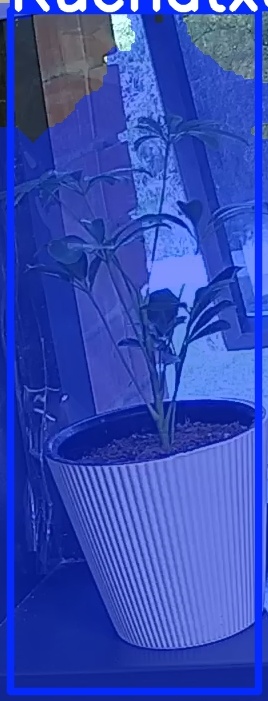 TREE-000012_20260623_054742.jpg