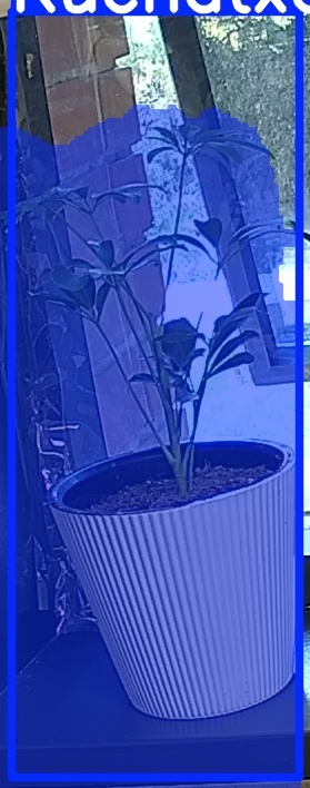 TREE-000012_20260623_064710.jpg