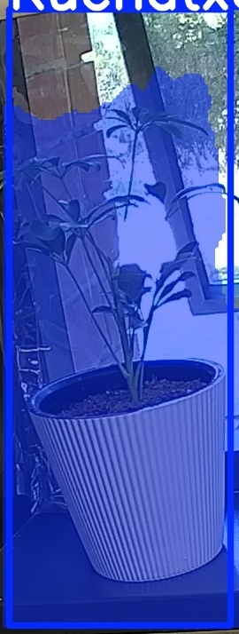 TREE-000012_20260623_074332.jpg