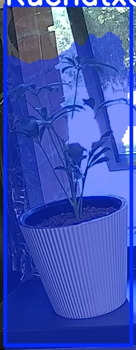 TREE-000012_20260623_074442.jpg