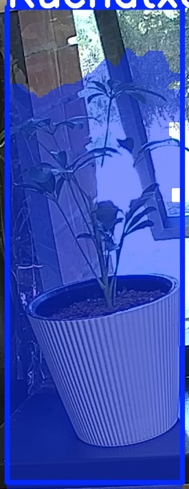 TREE-000012_20260623_074552.jpg
