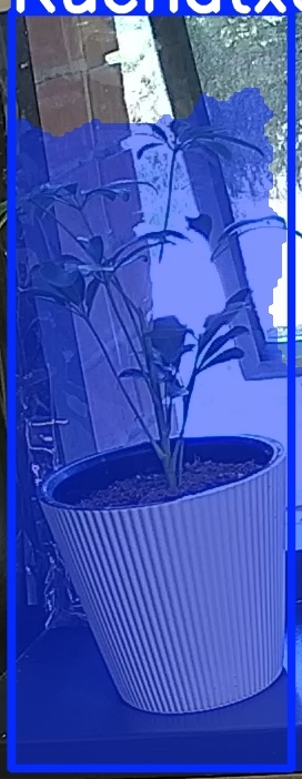 TREE-000012_20260623_075650.jpg