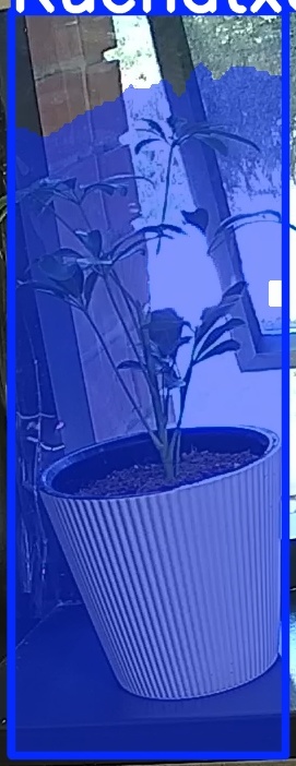 TREE-000012_20260623_075913.jpg