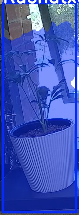 TREE-000012_20260623_080244.jpg