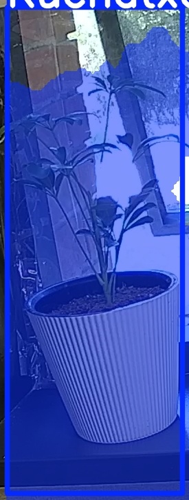 TREE-000012_20260623_081105.jpg