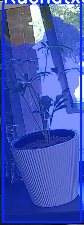 TREE-000012_20260623_081600.jpg