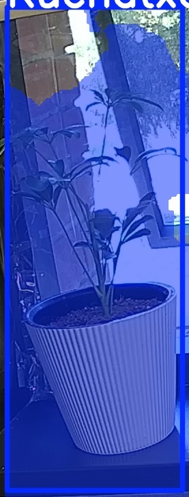 TREE-000012_20260623_081709.jpg