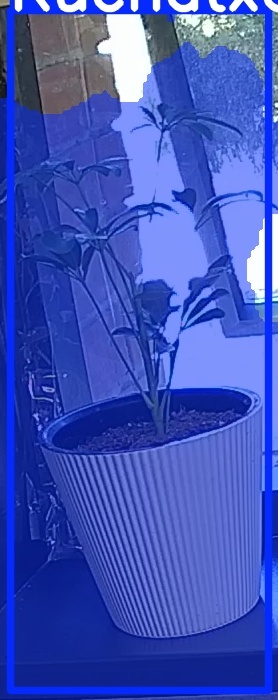 TREE-000012_20260623_082555.jpg