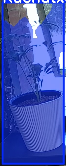 TREE-000012_20260623_083924.jpg