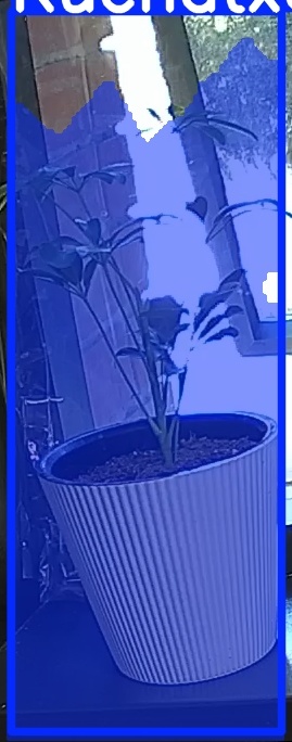 TREE-000012_20260623_084036.jpg