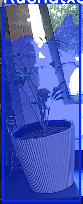TREE-000012_20260623_084148.jpg