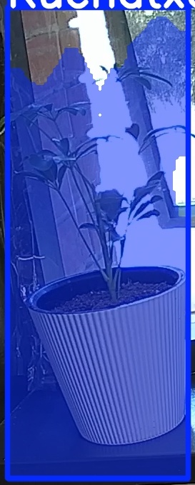 TREE-000012_20260623_084405.jpg