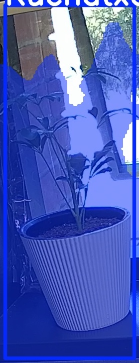 TREE-000012_20260623_085206.jpg