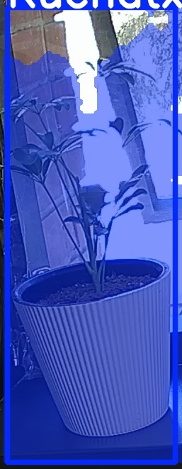 TREE-000012_20260623_110100.jpg