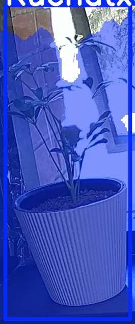 TREE-000012_20260623_110542.jpg