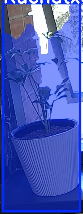 TREE-000012_20260623_110655.jpg