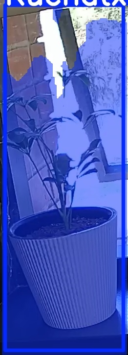TREE-000012_20260623_120313.jpg