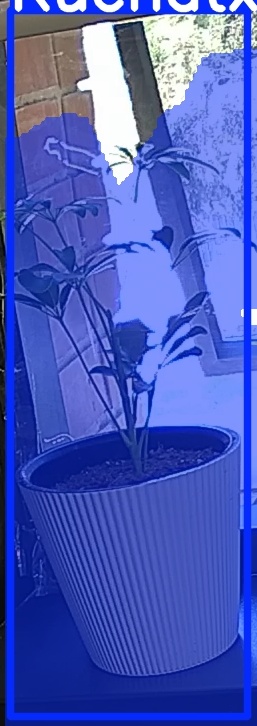 TREE-000012_20260623_121153.jpg