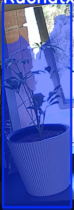 TREE-000012_20260623_122631.jpg