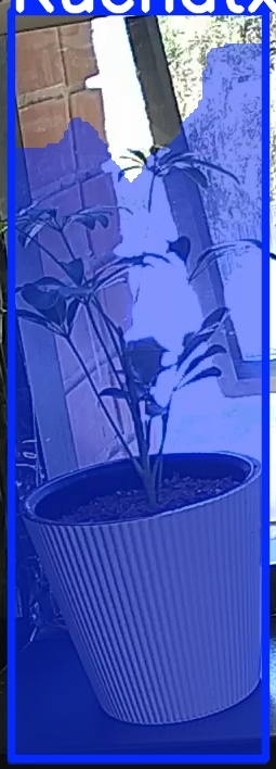 TREE-000012_20260623_122742.jpg