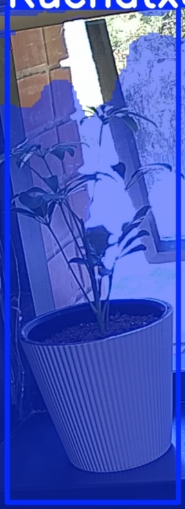 TREE-000012_20260623_123121.jpg