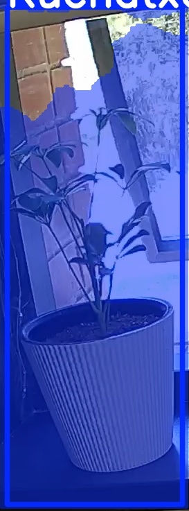 TREE-000012_20260623_124419.jpg