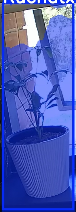 TREE-000012_20260623_124753.jpg