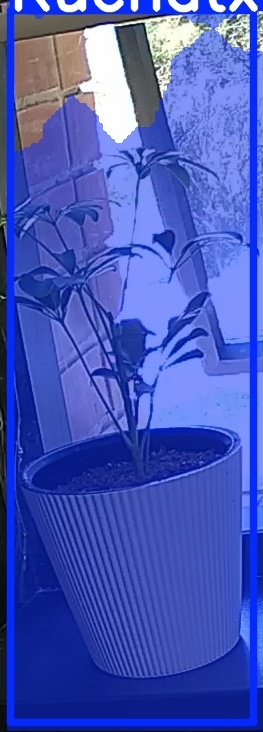 TREE-000012_20260623_130508.jpg