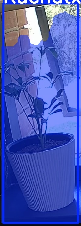 TREE-000012_20260623_130728.jpg