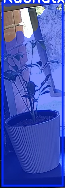 TREE-000012_20260623_130835.jpg