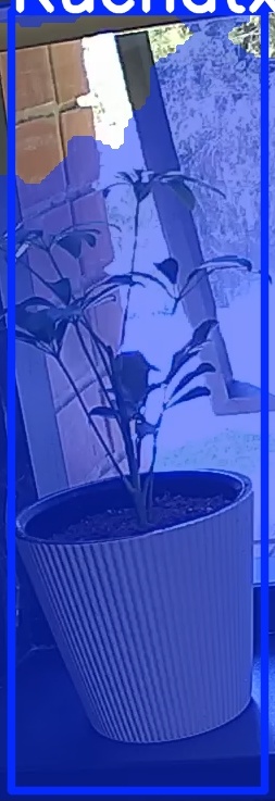 TREE-000012_20260623_130943.jpg