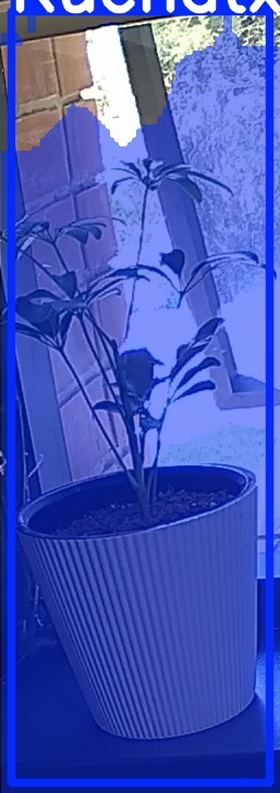 TREE-000012_20260623_131050.jpg