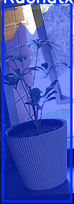 TREE-000012_20260623_131421.jpg