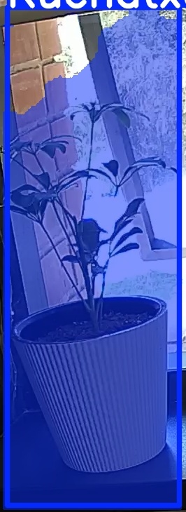 TREE-000012_20260623_131532.jpg