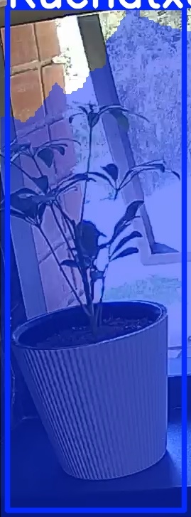 TREE-000012_20260623_131640.jpg