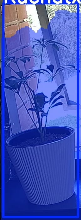TREE-000012_20260623_131751.jpg