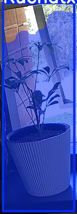 TREE-000012_20260623_132122.jpg