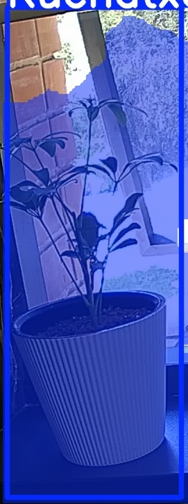 TREE-000012_20260623_132233.jpg