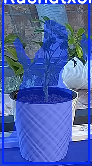 TREE-000013_20260623_053450.jpg