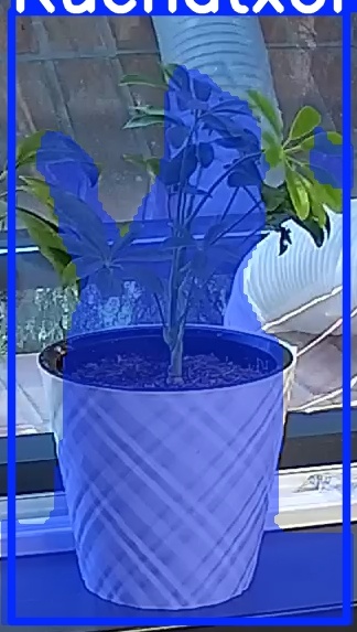 TREE-000013_20260623_054358.jpg