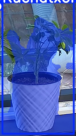 TREE-000013_20260623_054633.jpg