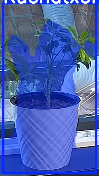 TREE-000013_20260623_054855.jpg