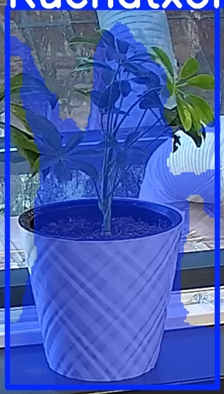 TREE-000013_20260623_063942.jpg