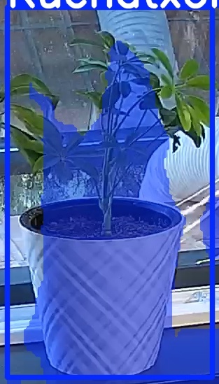 TREE-000013_20260623_064201.jpg
