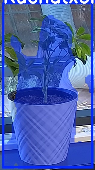 TREE-000013_20260623_064310.jpg